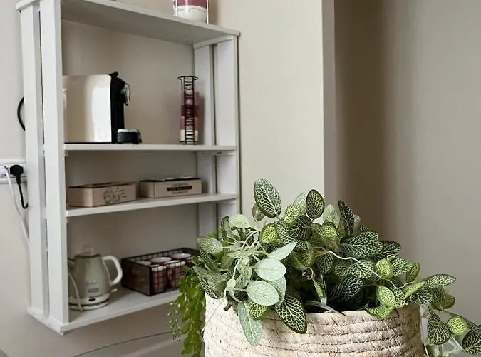 Διαμέρισμα Maison La Balconata Πάρμα